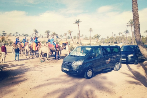 Camel Ride Trip Marrakech
