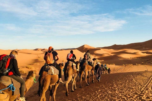 Private Desert Tour from Casablanca to Marrakech